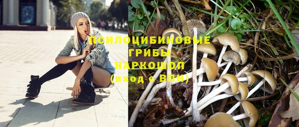 прущий лед Протвино