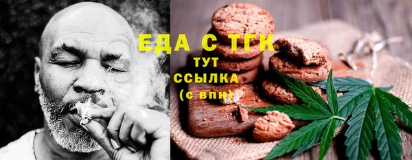 хмурый Аркадак